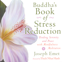 Buddha's Book Of Stress Reduction: Finding Serenity and Peace with Mindfulness Meditation